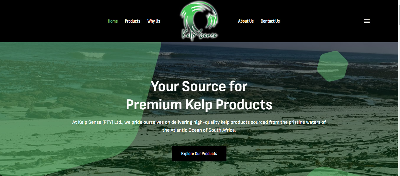 Kelp Exporters Web Designers